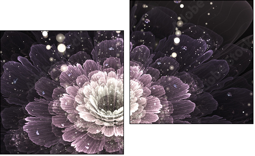 violet fractal flower with droplets of water  - Obraz dwuczęściowy, Dyptyk