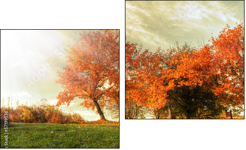 Autumn landscape  - Obraz dwuczęściowy, Dyptyk