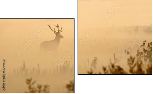Red deer with big antlers stands on meadow on foggy morning  - Obraz dwuczęściowy, Dyptyk