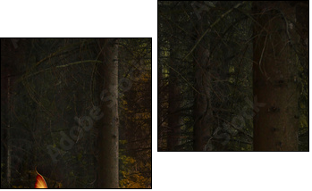 Enchanted nature series - Mushrooms path  - Obraz dwuczęściowy, Dyptyk