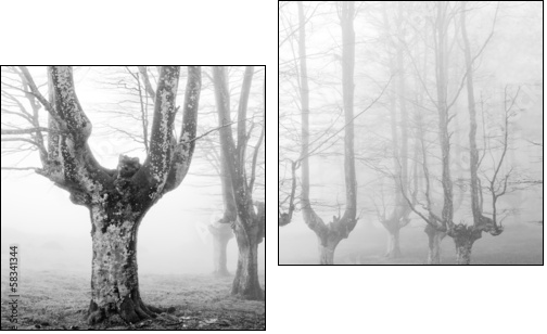 creepy forest with scary trees  - Obraz dwuczęściowy, Dyptyk