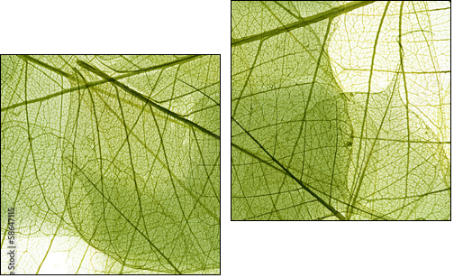 leaves background  - Obraz dwuczęściowy, Dyptyk