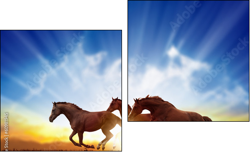 Running horses  - Obraz dwuczęściowy, Dyptyk