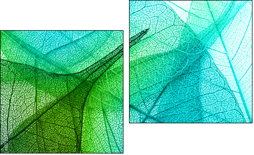 Macro leaves background texture  - Obraz dwuczęściowy, Dyptyk
