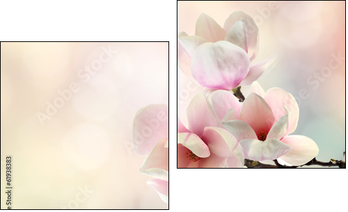 magnolia - Obraz dwuczęściowy, Dyptyk