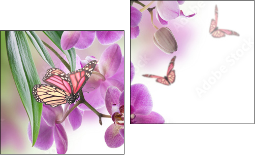 Floral background of tropical orchids and  butterfly - Obraz dwuczęściowy, Dyptyk