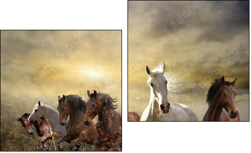 herd of horses galloping free at sunset  - Obraz dwuczęściowy, Dyptyk