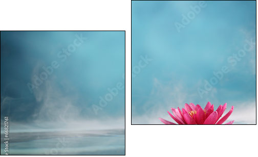 water lily - Obraz dwuczęściowy, Dyptyk