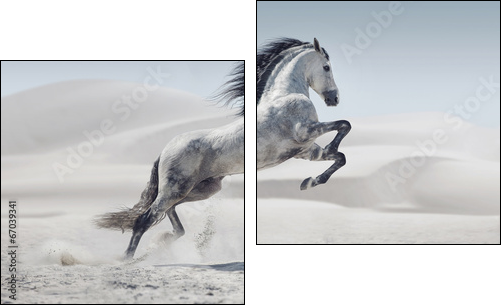 Picture presenting the galloping white horse  - Obraz dwuczęściowy, Dyptyk