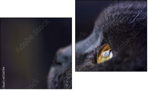 Katze KarthÃ¤user  - Obraz dwuczęściowy, Dyptyk