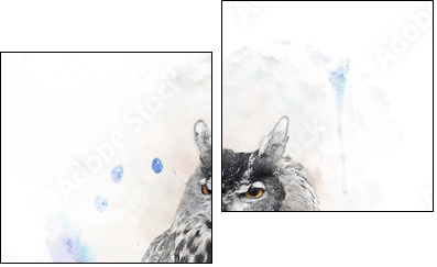 Watercolor Image Of  Owl  - Obraz dwuczęściowy, Dyptyk