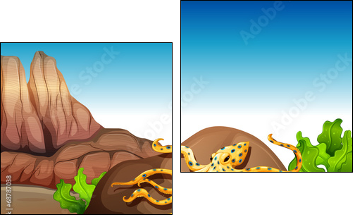 An octopus at the rock  - Obraz dwuczęściowy, Dyptyk