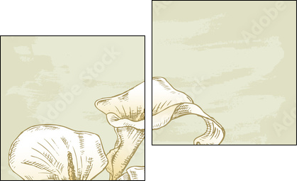 calla lilies - Obraz dwuczęściowy, Dyptyk
