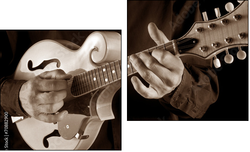 mandolin player,sepia image  - Obraz dwuczęściowy, Dyptyk
