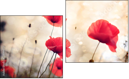 Poppy flower  - Obraz dwuczęściowy, Dyptyk