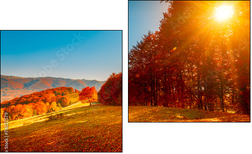 Colorful autumn landscape  - Obraz dwuczęściowy, Dyptyk