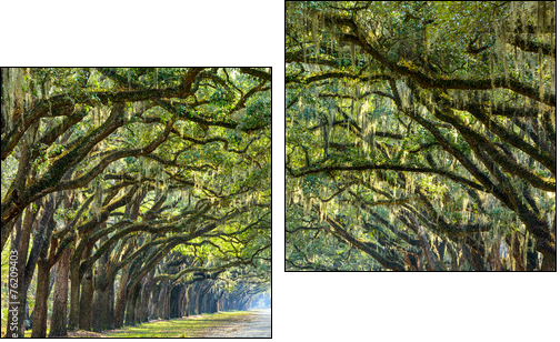 Country Road Lined with Oaks in Savannah, Georgia  - Obraz dwuczęściowy, Dyptyk