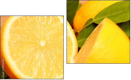 Zitronen  - Obraz dwuczęściowy, Dyptyk