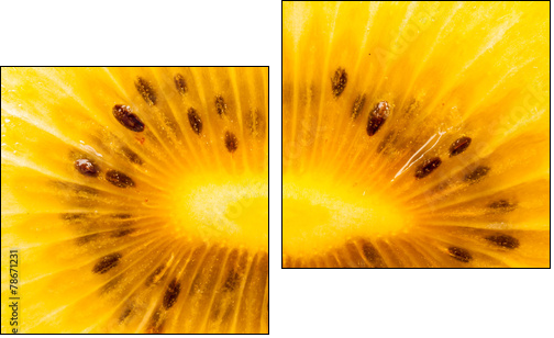 Yellow kiwi fruit on a white background  - Obraz dwuczęściowy, Dyptyk