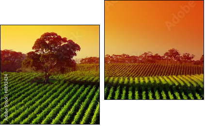 Winnica w blasku słońca – majestat natury
 - Obraz dwuczęściowy, Dyptyk