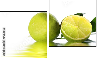 green lime  - Obraz dwuczęściowy, Dyptyk