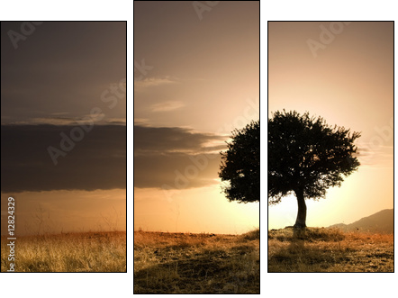 Samotne drzewo i zachód słońca
 - Obraz trzyczęściowy, Tryptyk