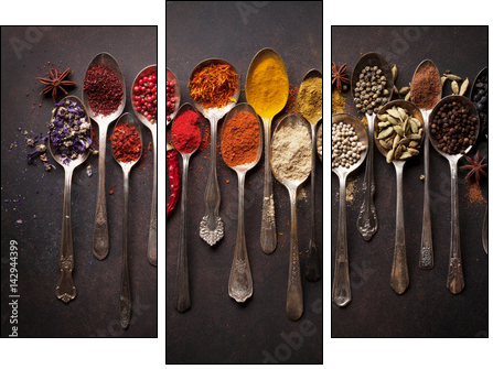 Various spices spoons - Obraz trzyczęściowy, Tryptyk