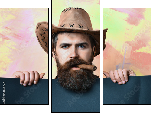 Bearded brutal caucasian hipster cowboy - Obraz trzyczęściowy, Tryptyk