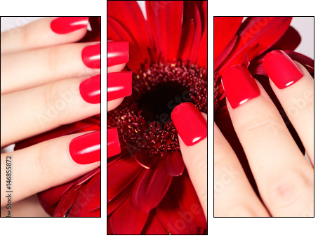 Beauty hands with red fashion manicure and bright flower. Beautiful manicured red polish on nails - Obraz trzyczęściowy, Tryptyk