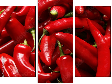 Red hot chilli peppers – papryka chilli na ścianie
 - Obraz trzyczęściowy, Tryptyk