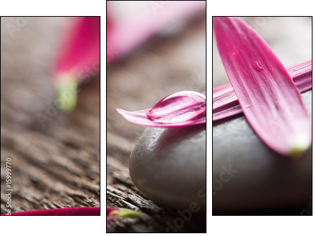 Płatki kwiatów – różowa elegancja
 - Obraz trzyczęściowy, Tryptyk
