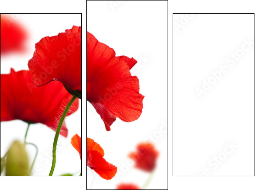Maki – czerwone kwiaty w kontrastach
 - Obraz trzyczęściowy, Tryptyk