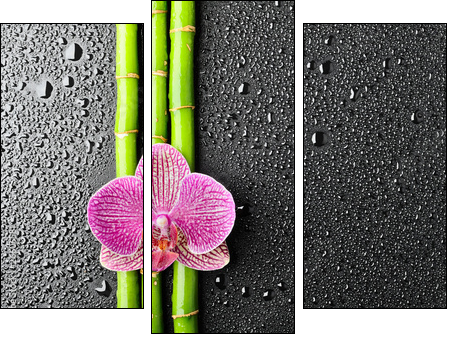 Azjatyckie spa – bambus i orientalny kwiat
 - Obraz trzyczęściowy, Tryptyk
