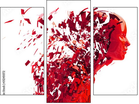 abstract character shattered into pieces  - Obraz trzyczęściowy, Tryptyk