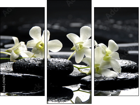 Zen stones and white orchids with reflection  - Obraz trzyczęściowy, Tryptyk