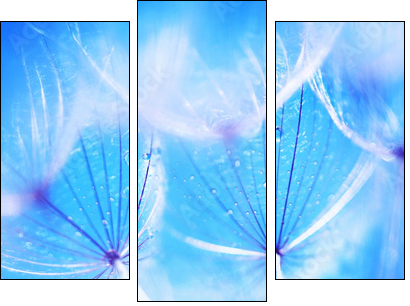 Niebieski dmuchawiec – ulotność natury
 - Obraz trzyczęściowy, Tryptyk