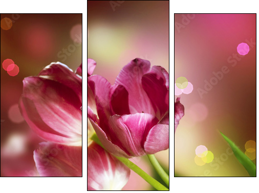 Otwarte tulipany – kwiaty w domu
 - Obraz trzyczęściowy, Tryptyk