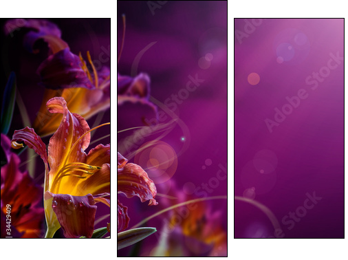 abstract floral background.With copy-space  - Obraz trzyczęściowy, Tryptyk