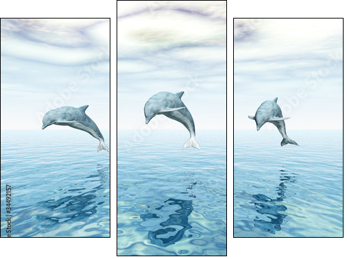 Jumping Dolphins - Springende Delfine  - Obraz trzyczęściowy, Tryptyk