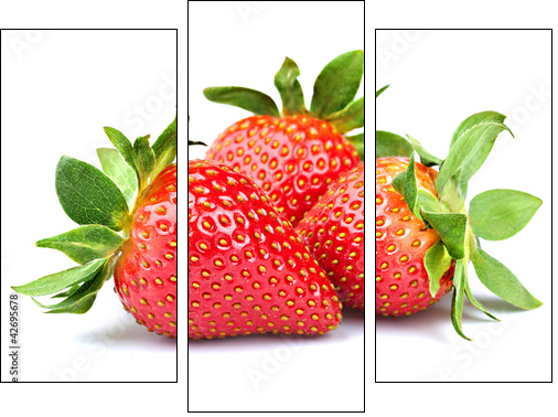 strawberry isolated on white background  - Obraz trzyczęściowy, Tryptyk