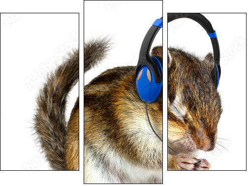 Funny chipmunk listening to music on headphones  - Obraz trzyczęściowy, Tryptyk