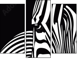 zebra  - Obraz trzyczęściowy, Tryptyk