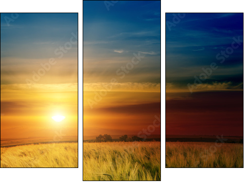 dramatic sunset over green field  - Obraz trzyczęściowy, Tryptyk