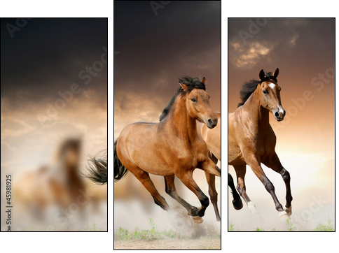 Mustang w dzikiej dolinie - Obraz trzyczęściowy, Tryptyk