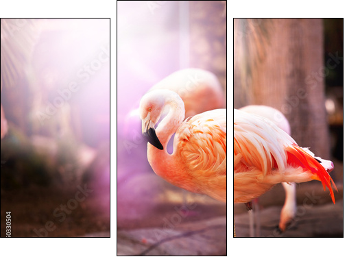Flamingo  - Obraz trzyczęściowy, Tryptyk