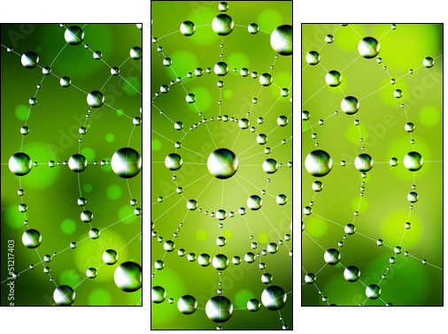 Abstract spider web with dew drops  - Obraz trzyczęściowy, Tryptyk
