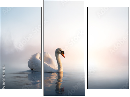 Art Swan floating on the water at sunrise of the day  - Obraz trzyczęściowy, Tryptyk