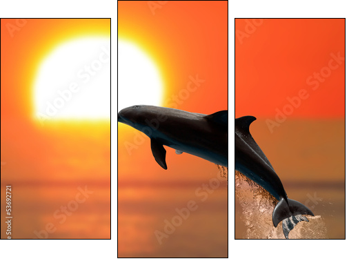 Dolphins at sunset  - Obraz trzyczęściowy, Tryptyk
