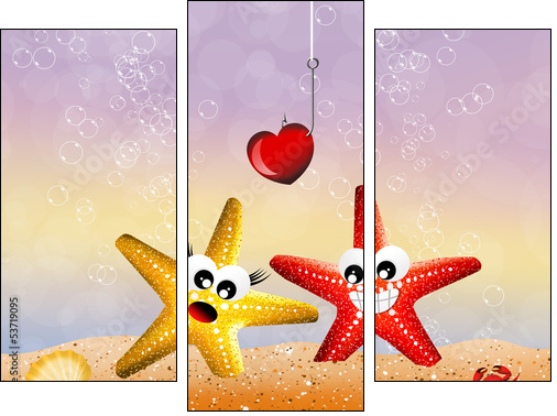 Starfish in love  - Obraz trzyczęściowy, Tryptyk