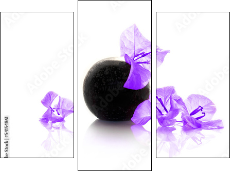 Composition zen avec bougainvillÃ©e violette  - Obraz trzyczęściowy, Tryptyk